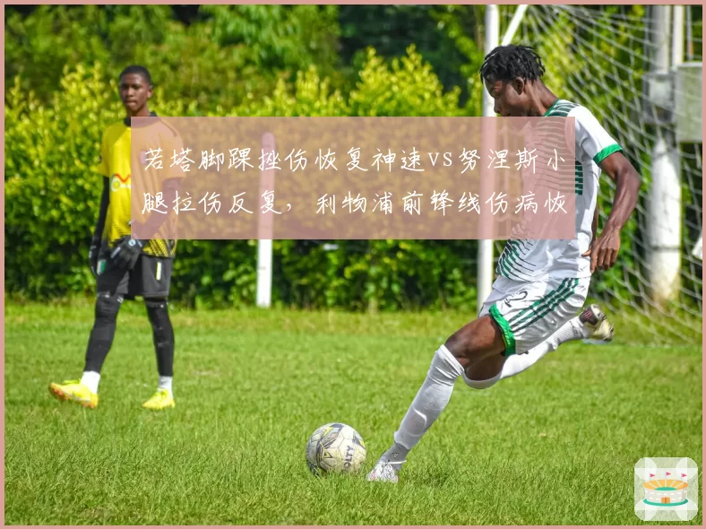 若塔脚踝挫伤恢复神速vs努涅斯小腿拉伤反复,利物浦前锋线伤病恢复速度两极分化